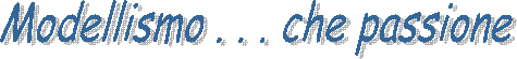 Modellismo . . . che passione